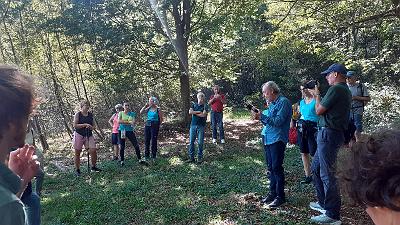 Voci nel Bosco (8)
